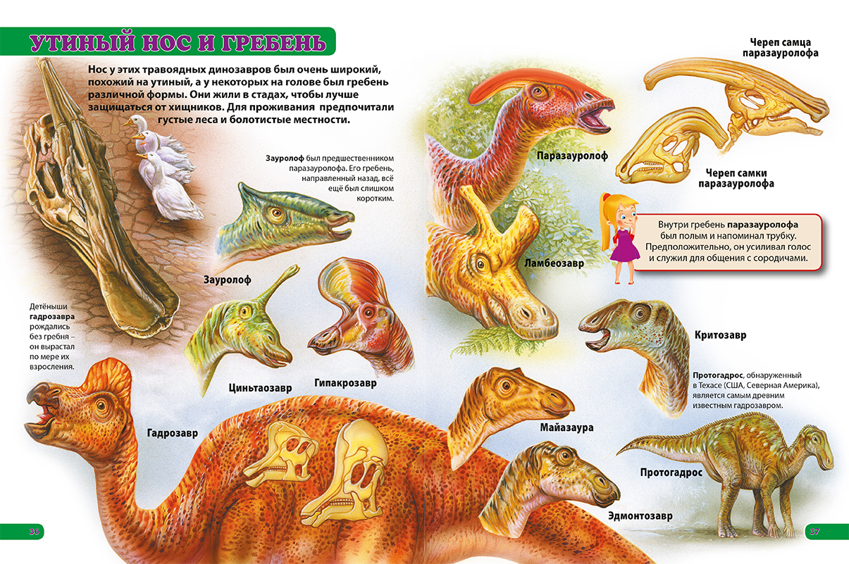 Какие бывают динозавры названия и фото для детей