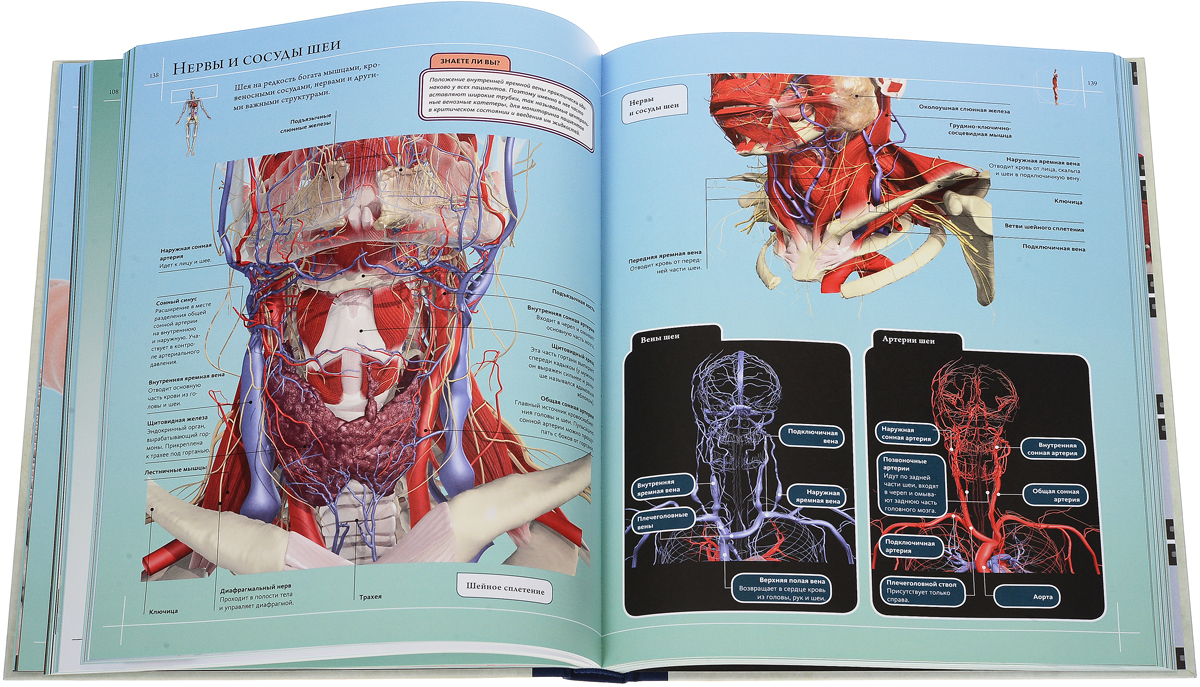 Анатомия книги атласы. Джейми Роубак "анатомия человека 360°. иллюстрированный атлас". Роубак Джейми анатомия человека 360. Анатомия человека 360 Роубак иллюстрированный атлас. «Анатомия человека. Иллюстрированный атлас» (2006), Адольфо Касан.