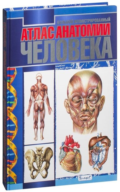 Анатомия книги атласы. Атлас по анатомии. Большой атлас анатомии человека. Книга атлас анатомии человека. Анатомия человека иллюстрированный атлас.