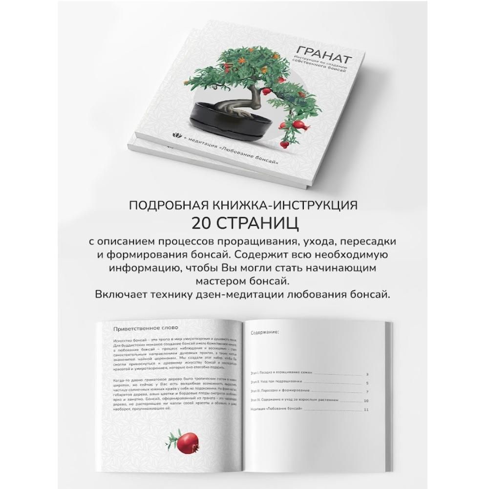 Набор для создания бонсай Сад Радости Гранат sr-001 – Интернет-магазин Юные  таланты