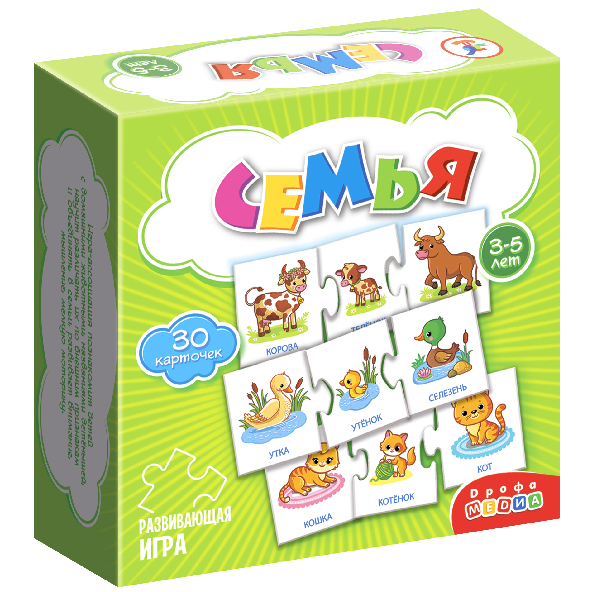 Мини игры Дрофа Семья 4209