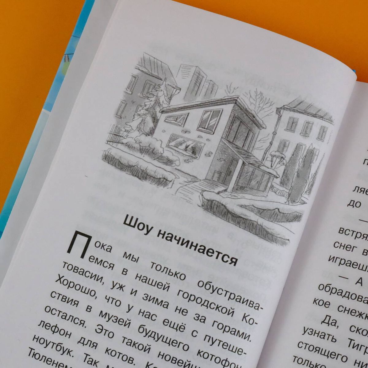 Котовасия Круговорот мечтаний Книга Залесская Е 6+ – Интернет-магазин Юные  таланты